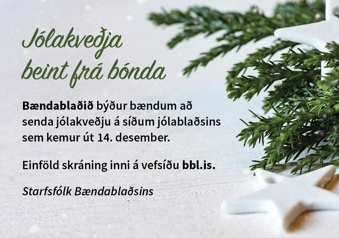 Jólakveðja beint frá bónda