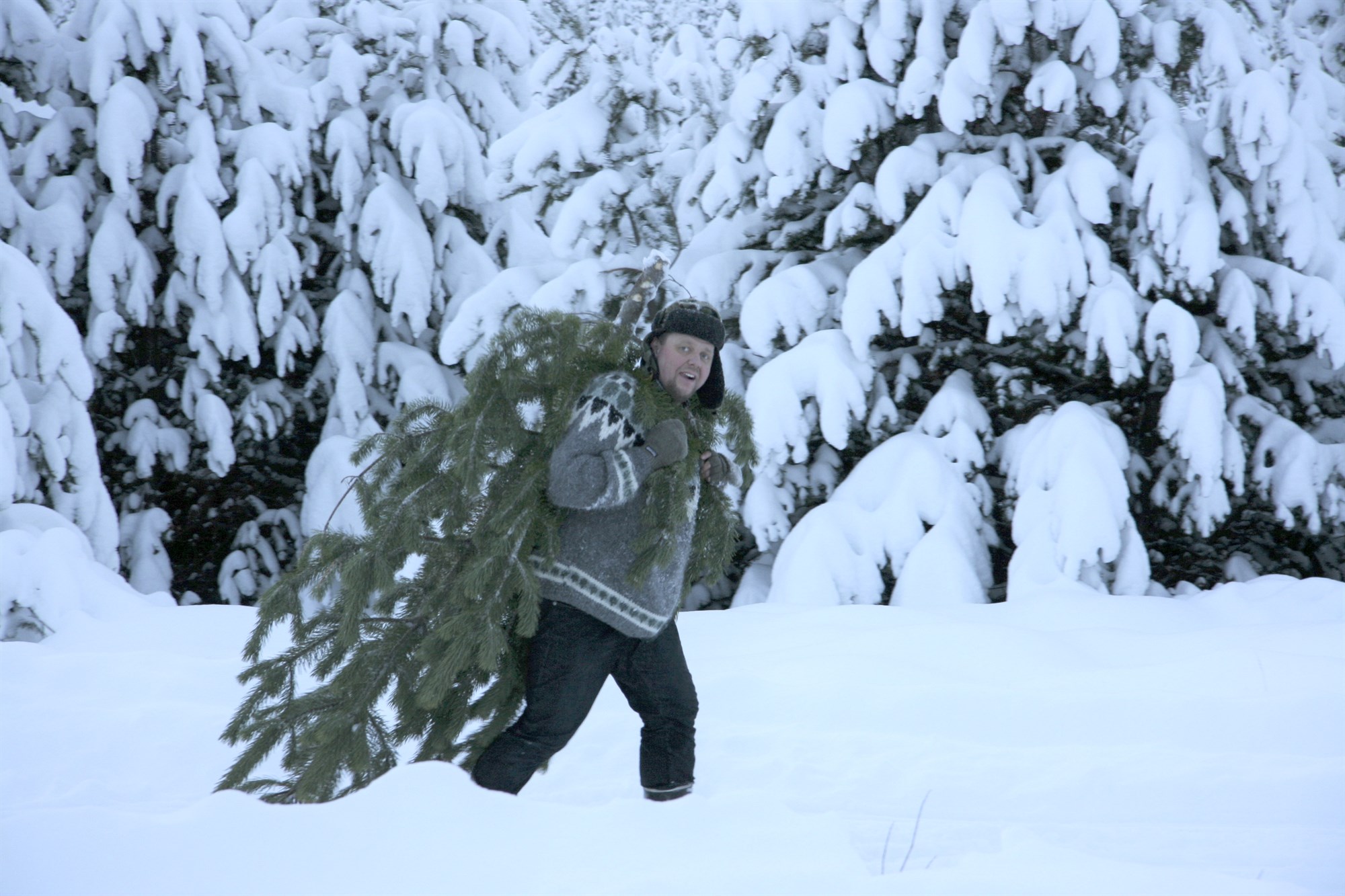 Skógarafurðir á aðventunni