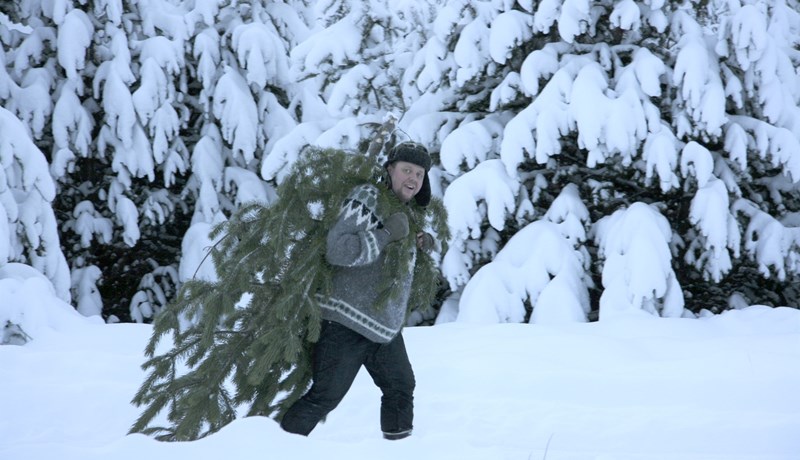 Skógarafurðir á aðventunni