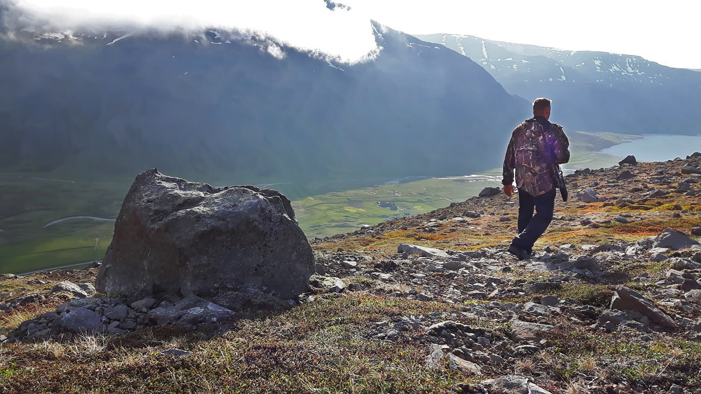 Skagfirðingar hafa verulegar áhyggjur af uppgangi villiminks í náttúrunni