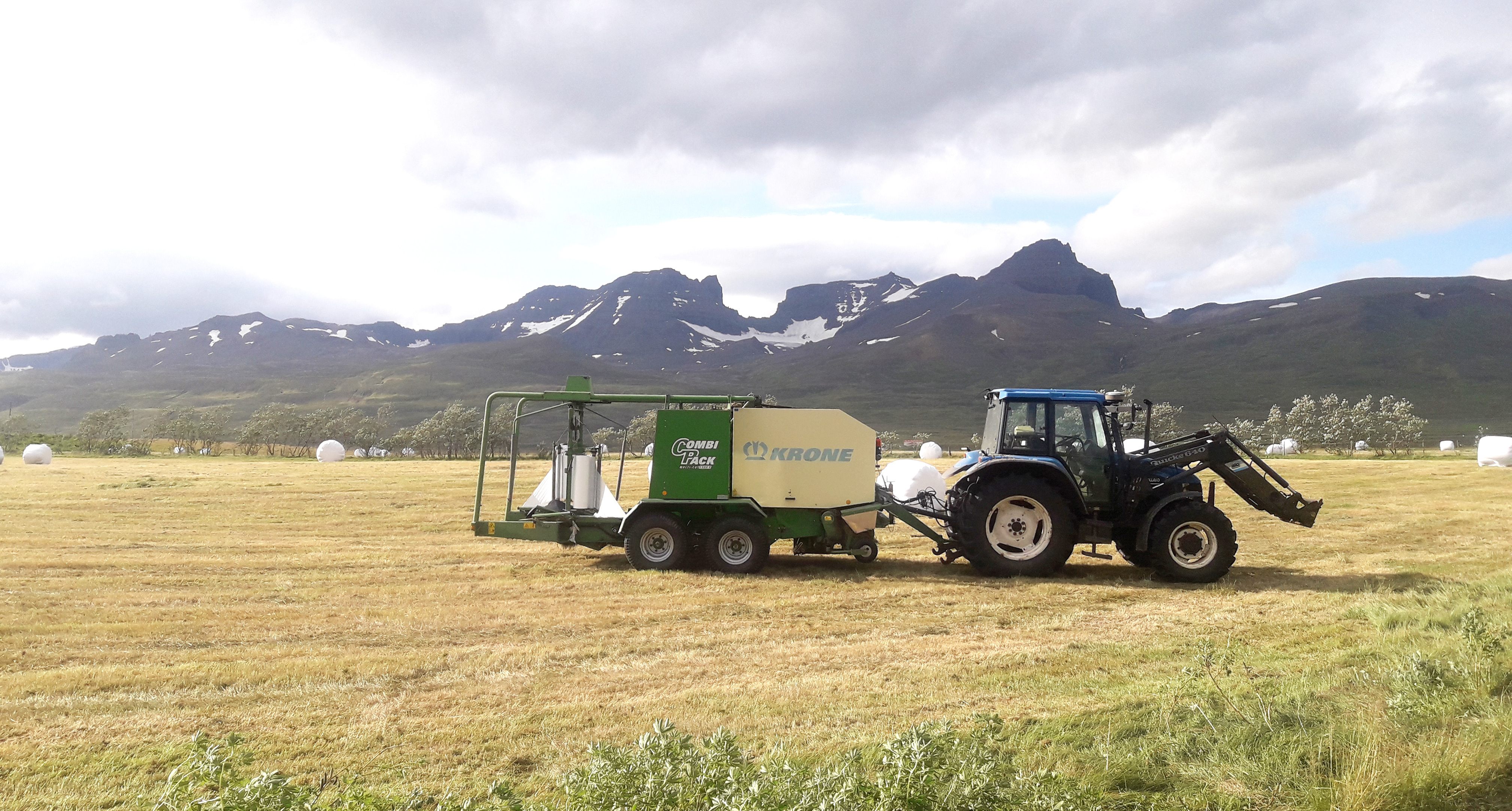 Ofboðslega leiðinlegt, sólarlítið og úr hófi fram úrkomusamt sumar