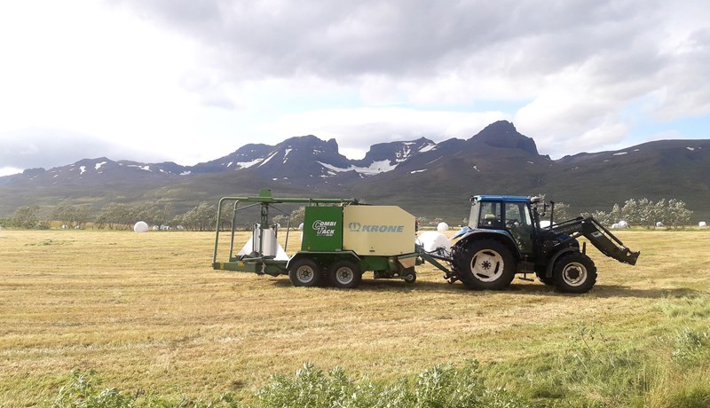 Ofboðslega leiðinlegt, sólarlítið og úr hófi fram úrkomusamt sumar