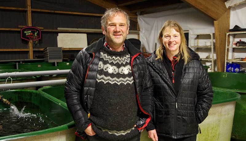 Með 300 fjár á fóðrum og stunda fiskirækt og loftþurrka kjöt