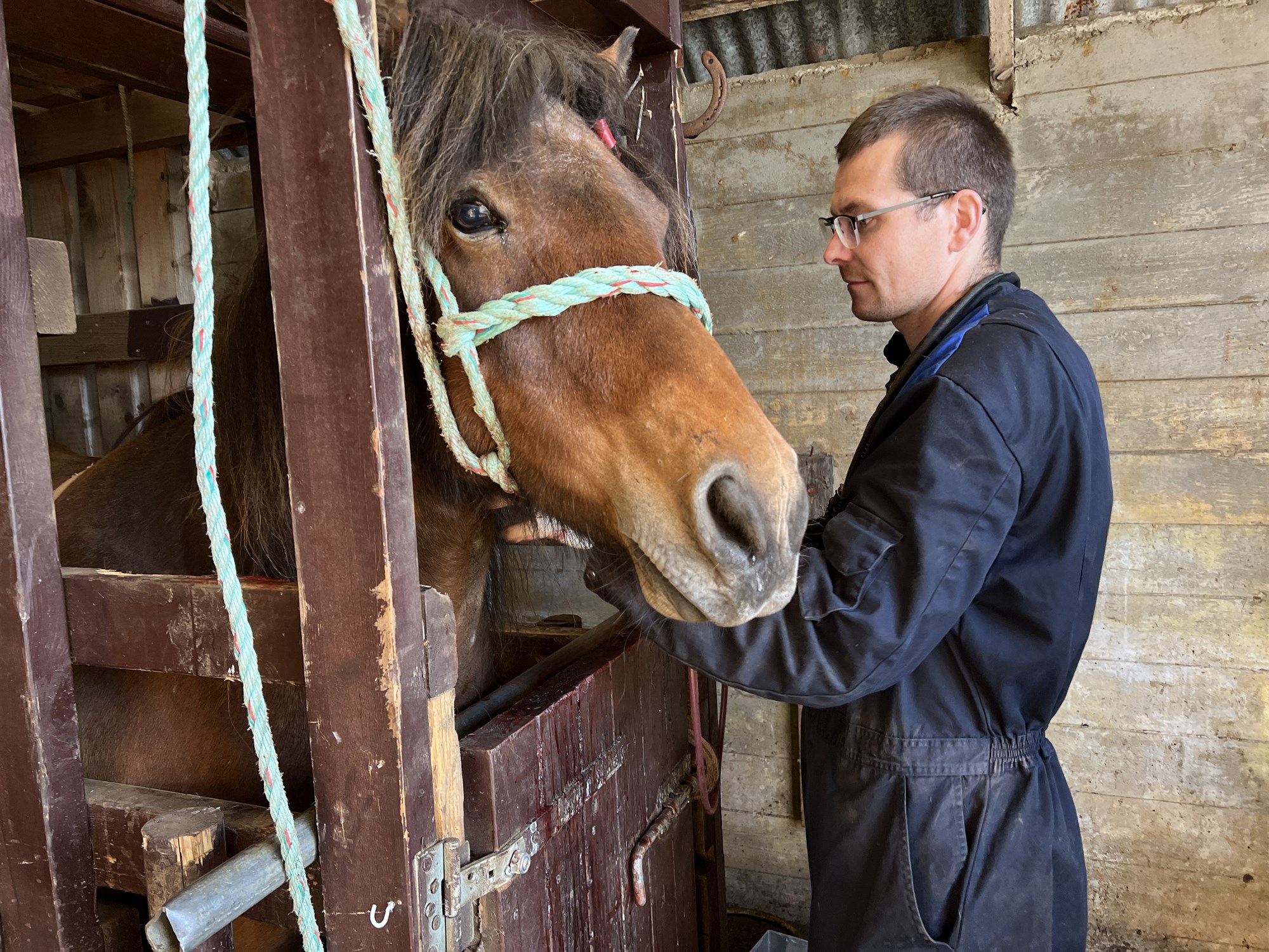 Merarnar almennt rólegar frá upphafi til loka meðhöndlunar
