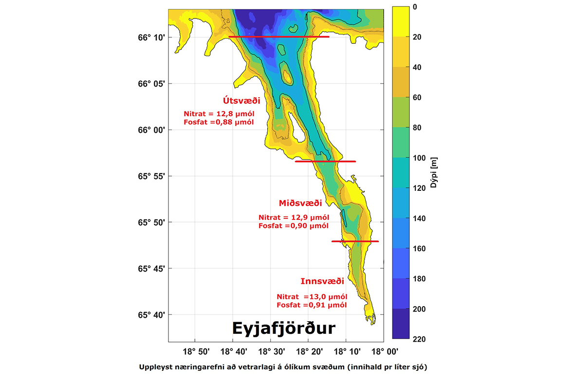 Ekkert fiskeldi í Eyjafjörð – af því bara!