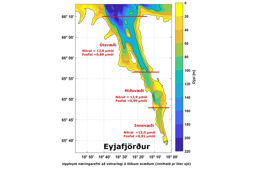 Eyjafjörður er um 58 km langur og 15 km breiður í fjarðarmynni. Heildarflatarmálið er áætlað 422 km2 (sunnan 66°10 N). Til samanburðar má nefna að flatarmál Arnarfjarðar á Vestfjörðum er áætlað 343 km2 og rúmmál hans um 19 km³. Hafrannsóknastofnun hefur m