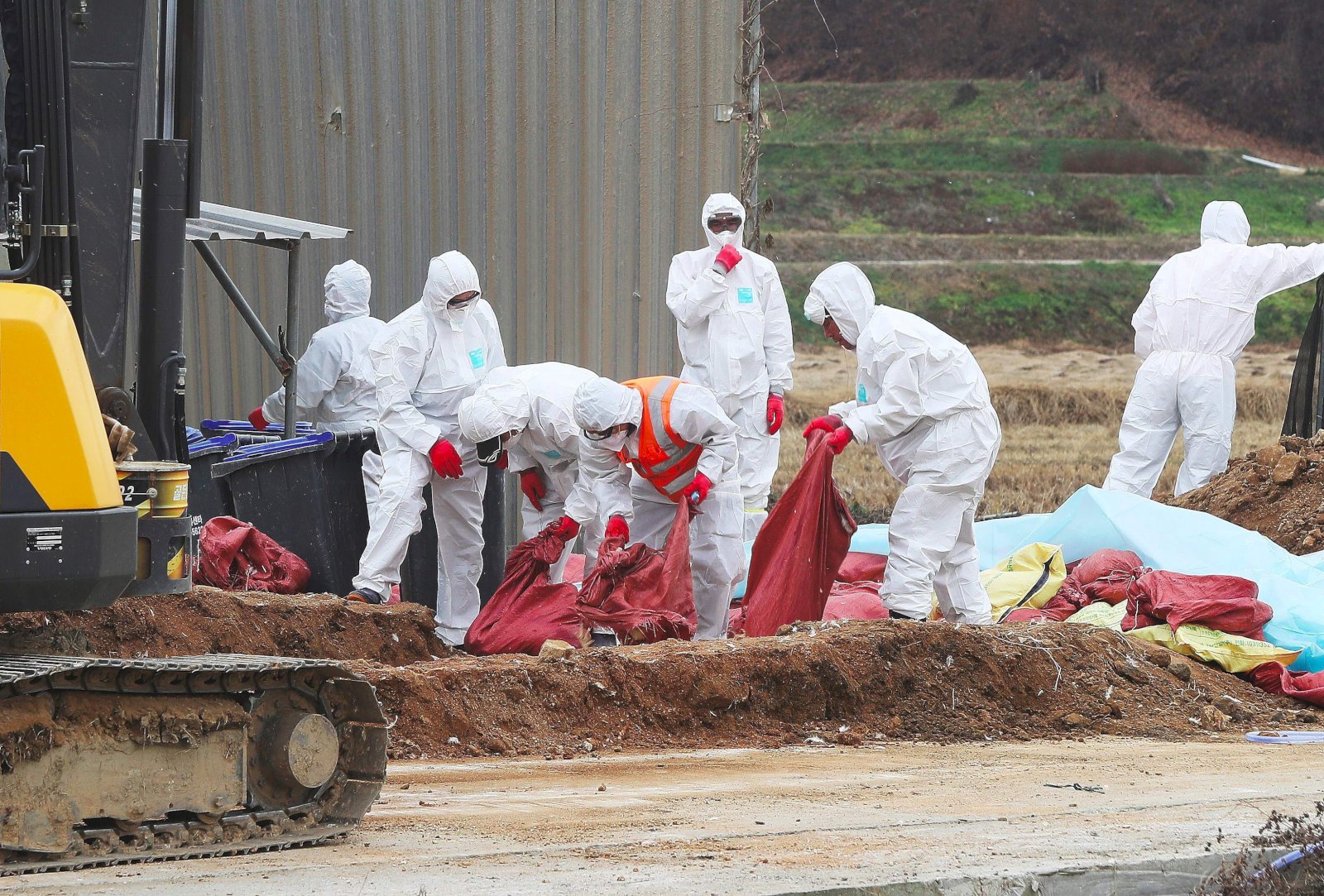 Fuglaflensufaraldur í Suður-Kóreu