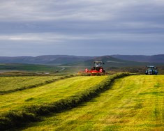 Hver á hvað við ESB-aðild?