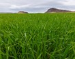 „Við höfum ekki þá yfirsýn sem þarf til að taka góðar ákvarðanir“