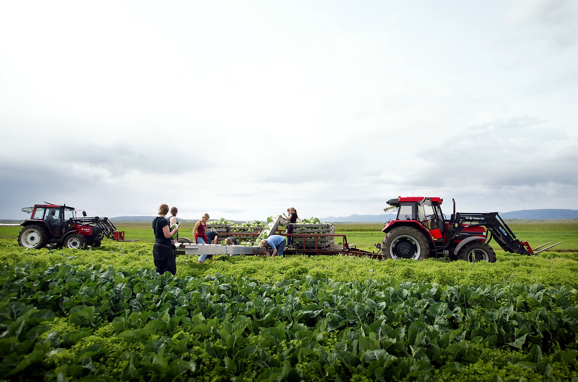Landbúnaður – úr vörn í sókn