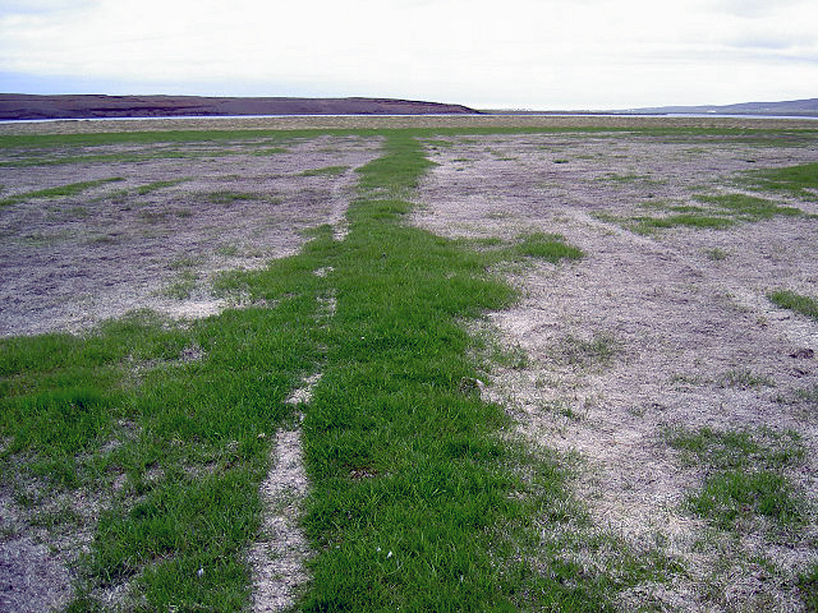 Mikið tjón vegna kals í Skagafirði
