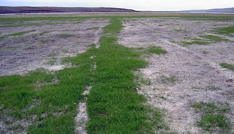 Mikið tjón vegna kals í Skagafirði