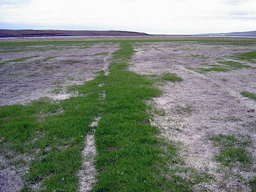 Kalskemmdir. Mynd er úr safni.