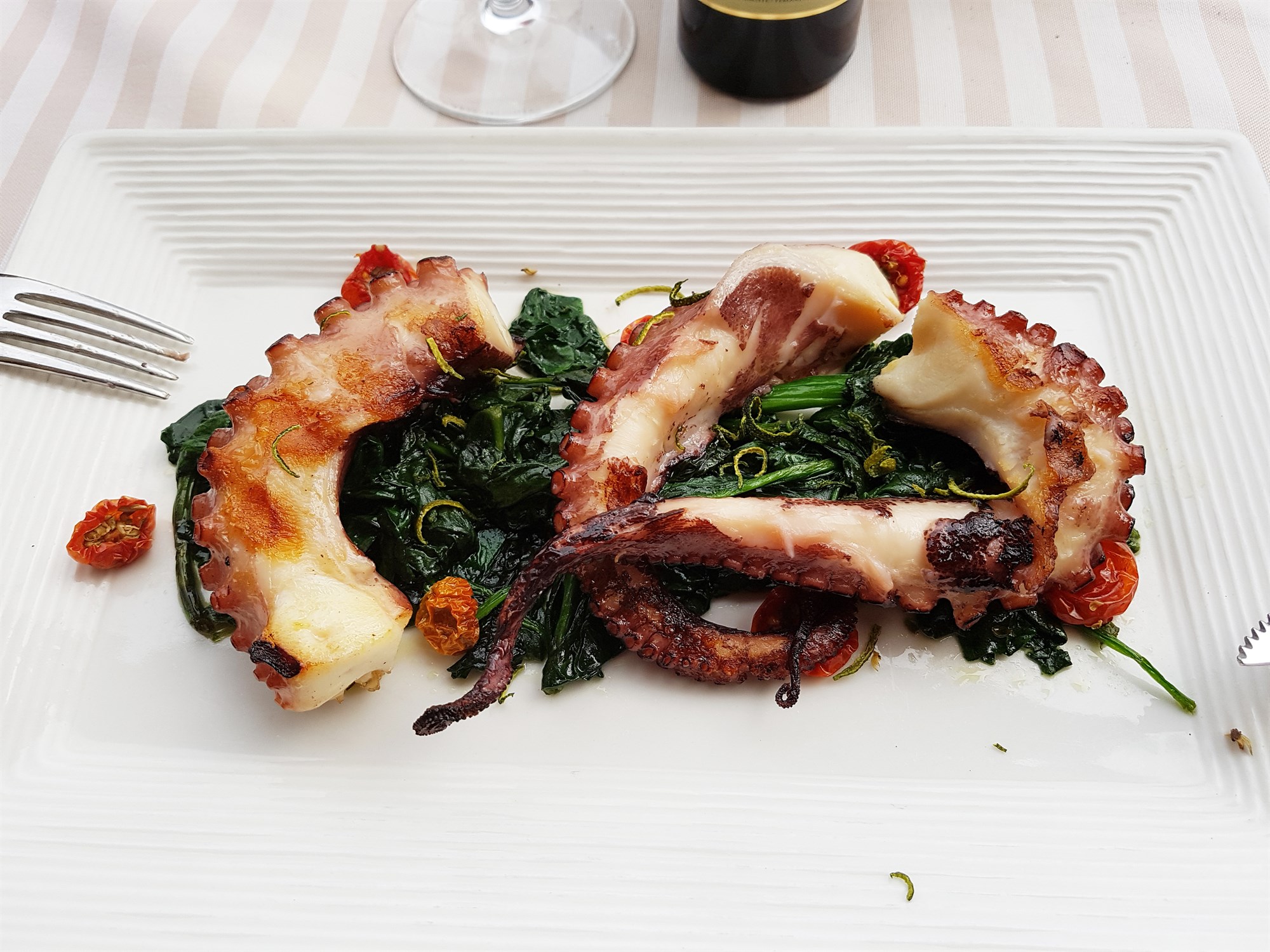 Ekki eru allir smokkfiskar kalamarí