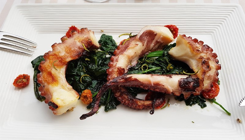 Ekki eru allir smokkfiskar kalamarí