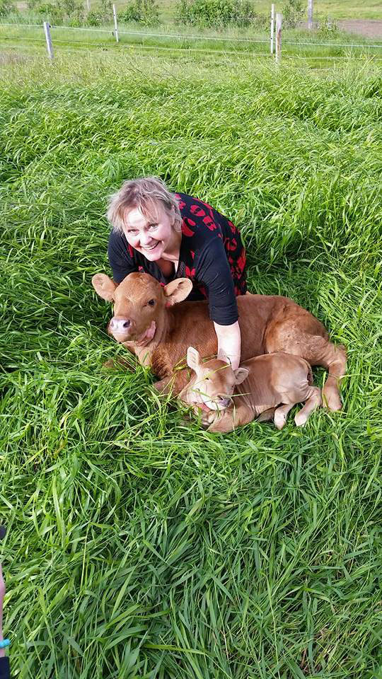 Smákálfur í Landeyjunum