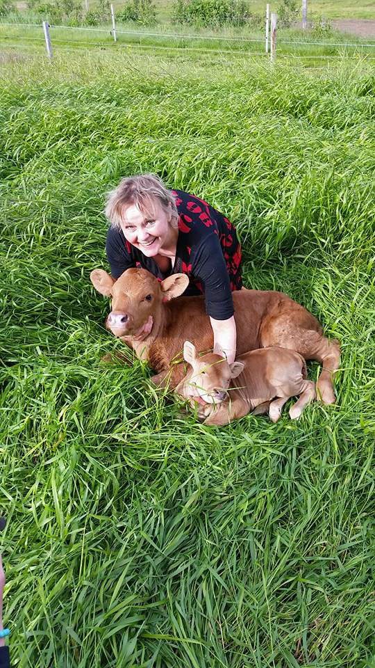 Guðný Halla með kálfunum tveimur, stærðarmunurinn er mjög mikill.