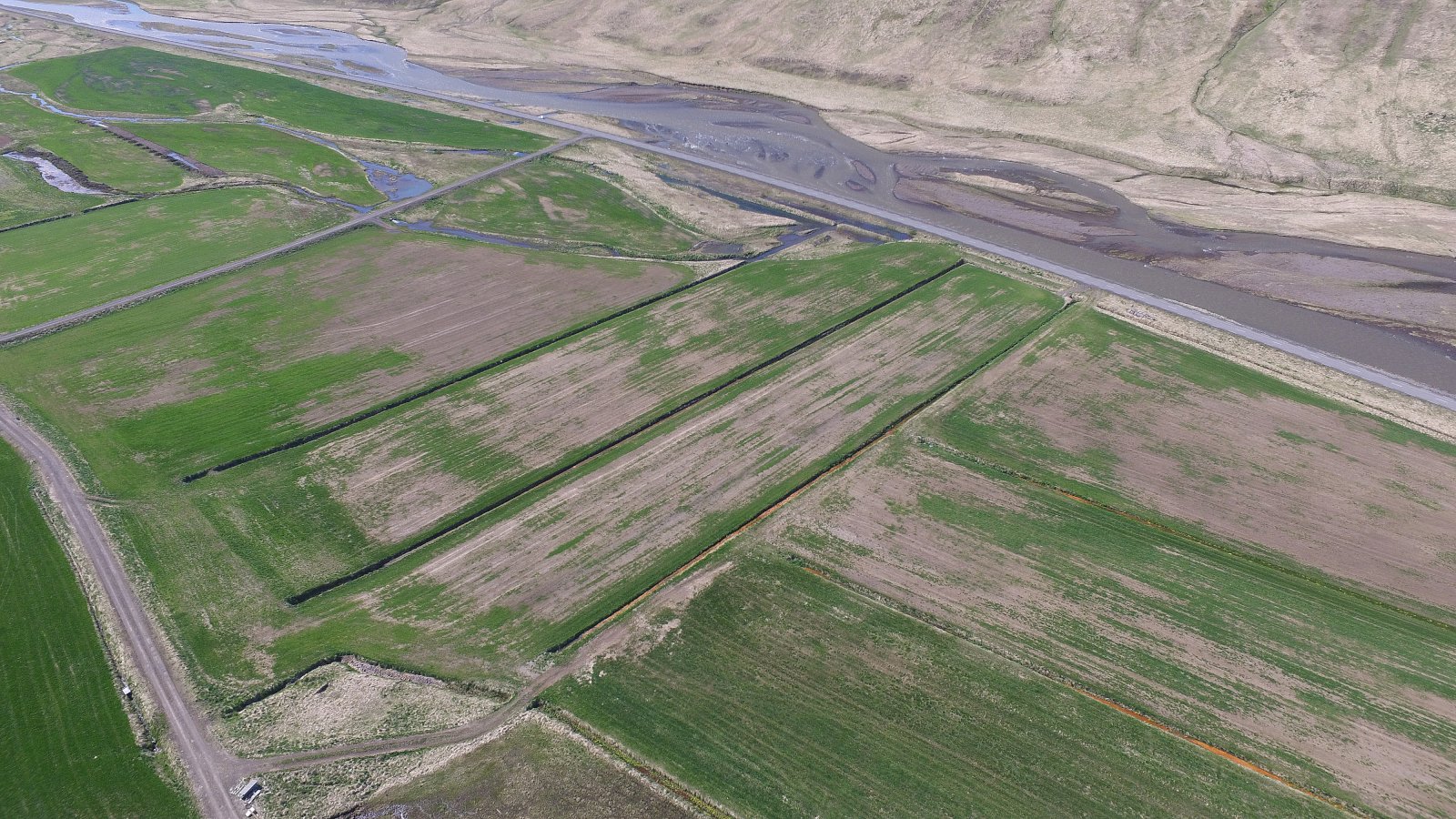 Næstmesta kalið á þessari öld