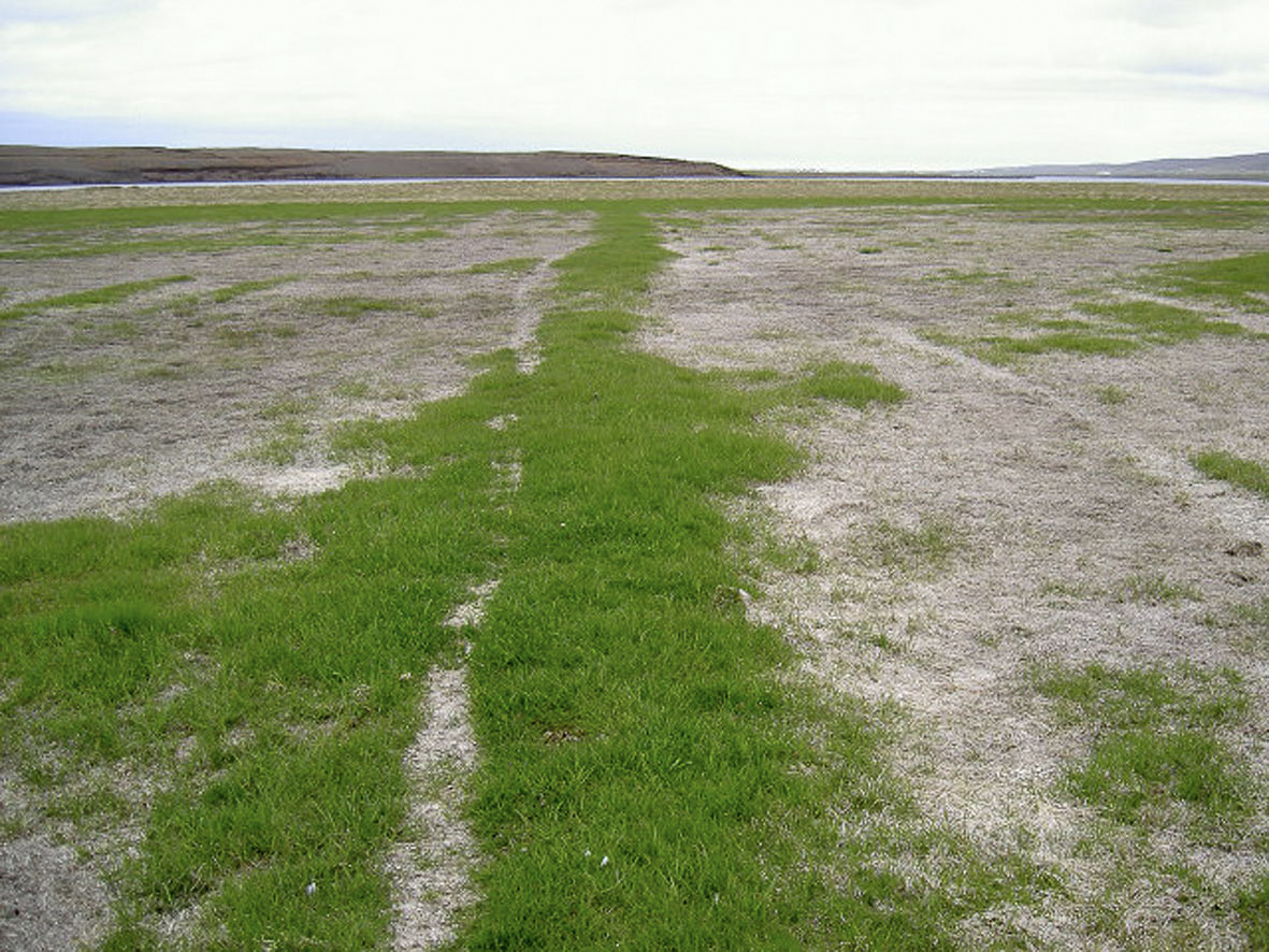 Bjargráðasjóður undir Náttúruhamfaratryggingar Íslands