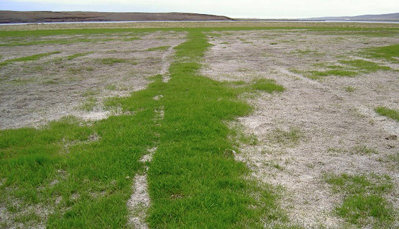 Bjargráðasjóður undir Náttúruhamfaratryggingar Íslands