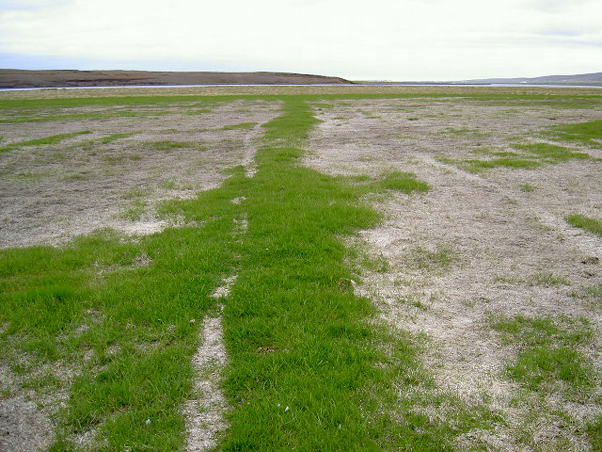 Forsendur fyrir auknu fjármagni í Bjargráðasjóð vegna tjóna 