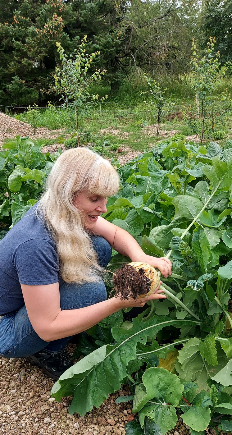 Ætlar sér að rækta vindmyllupálmatré og trefjabananatré úti með hita í sumar