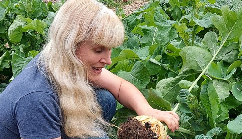 Ætlar sér að rækta vindmyllupálmatré og trefjabananatré úti með hita í sumar