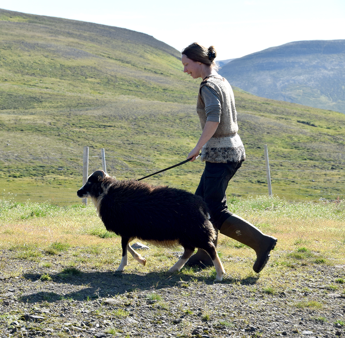 Fræðst um forystufé