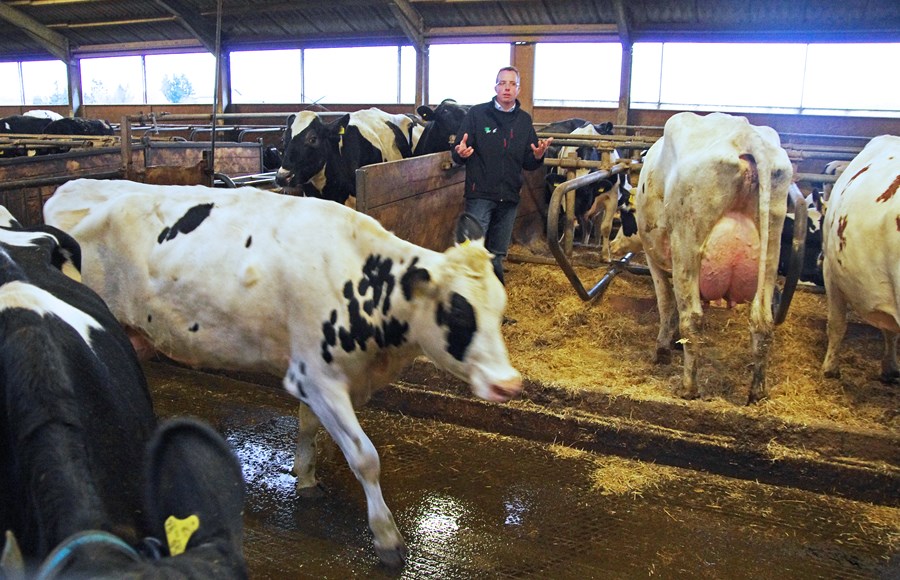 Evrópskir bændur biðja um markaðsstuðning vegna bandarískra tolla