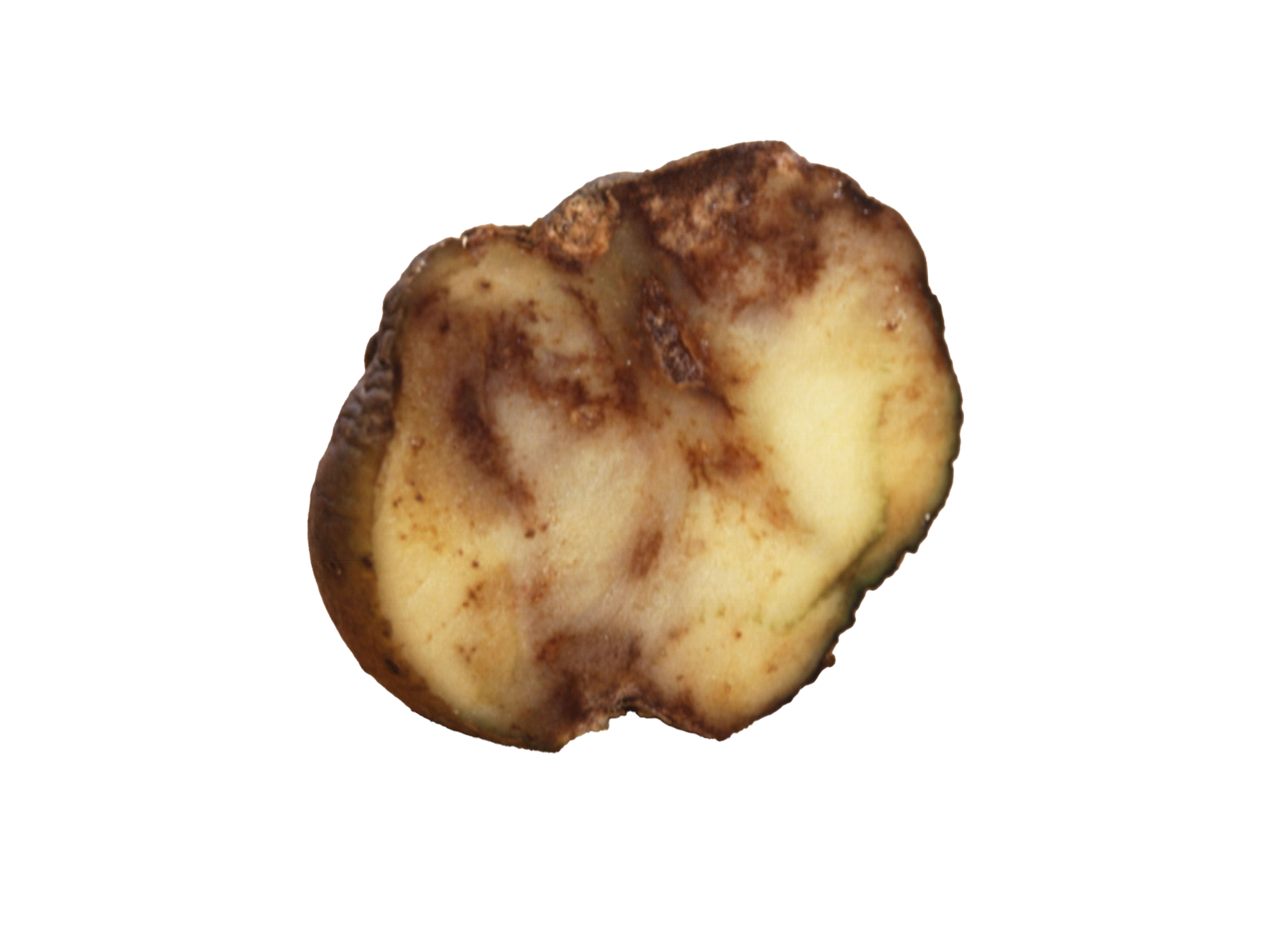 Veðurfarið hefur úrslitaáhrif