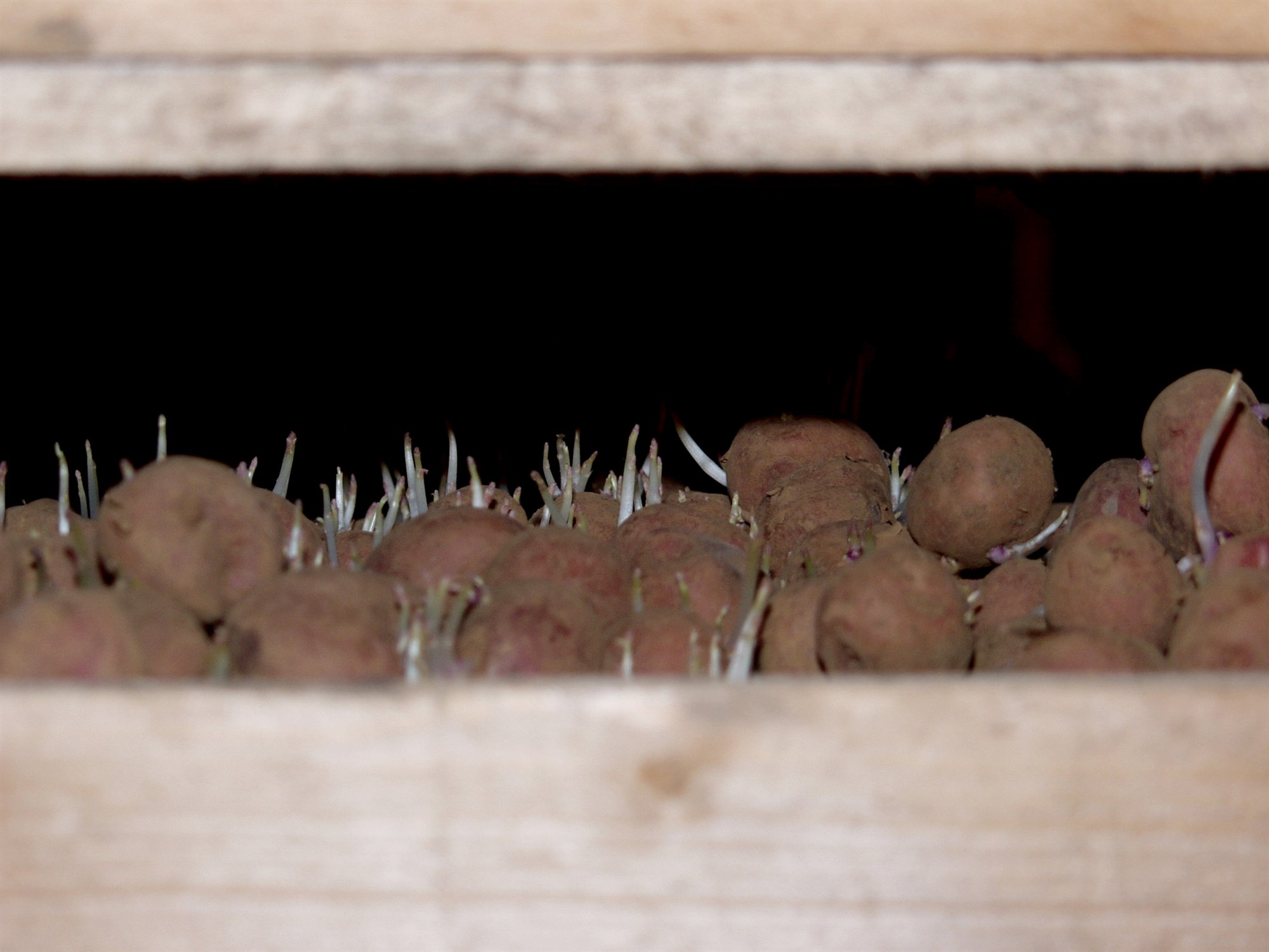 Beiðni hafnað um innflutningsbann