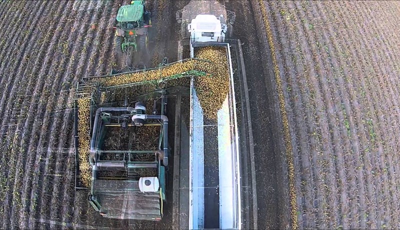 Kartöflur – besti hlutinn er neðanjarðar