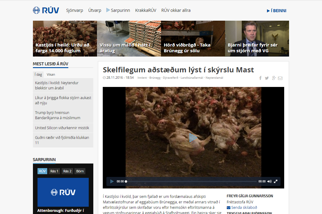 Eggjaframleiðandi sakaður um að blekkja neytendur