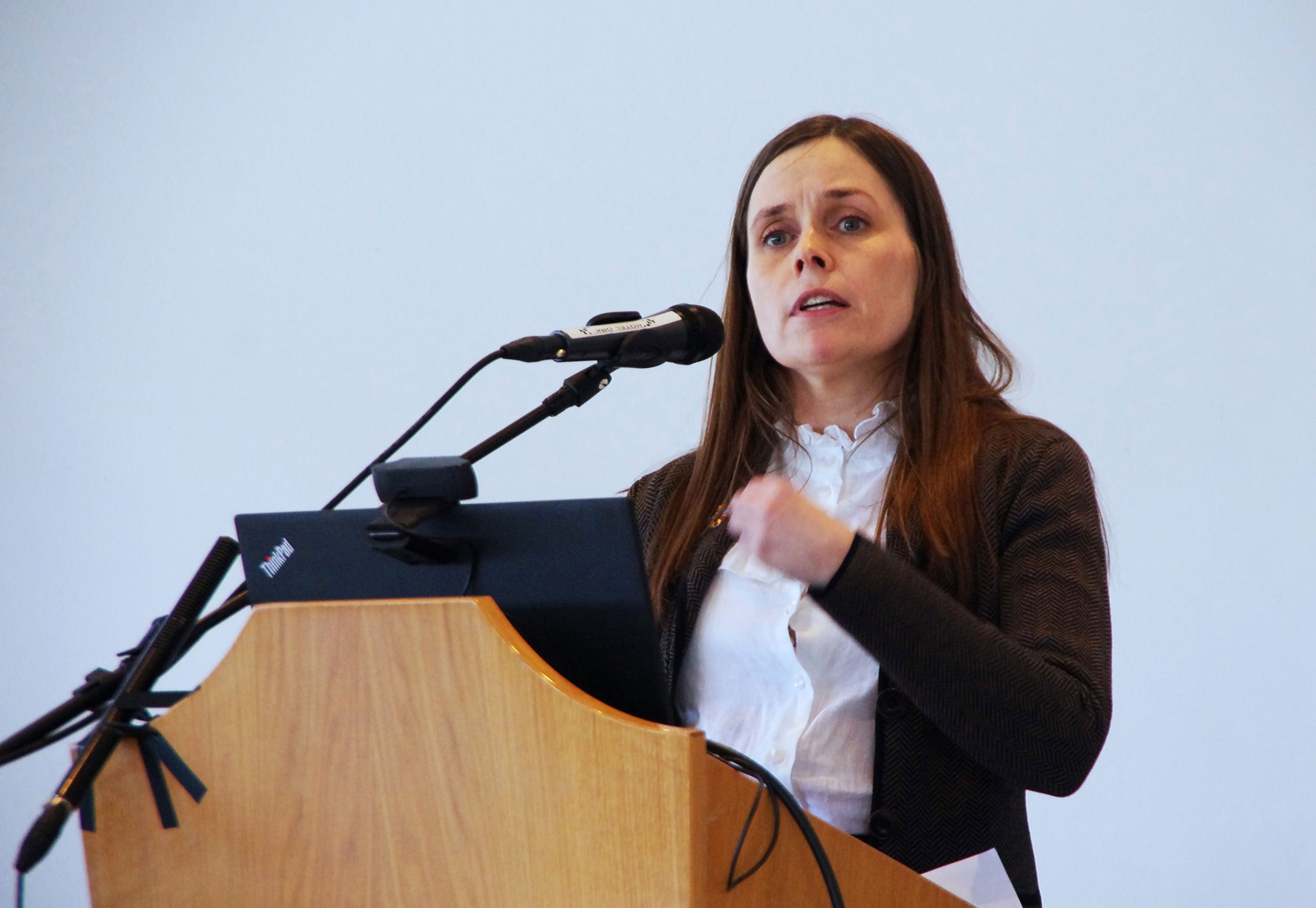 Okkar fullveldishagsmunir að Landsvirkjun verði áfram í ríkiseign