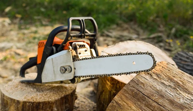 Orkuskipti í garðinum