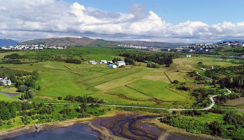Keldnalandið og Tilraunastöð Háskóla Íslands í meinafræði
