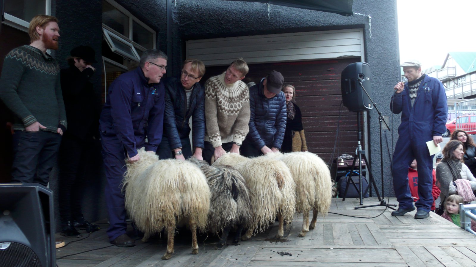 Hrútaþukl á Kex Hostel