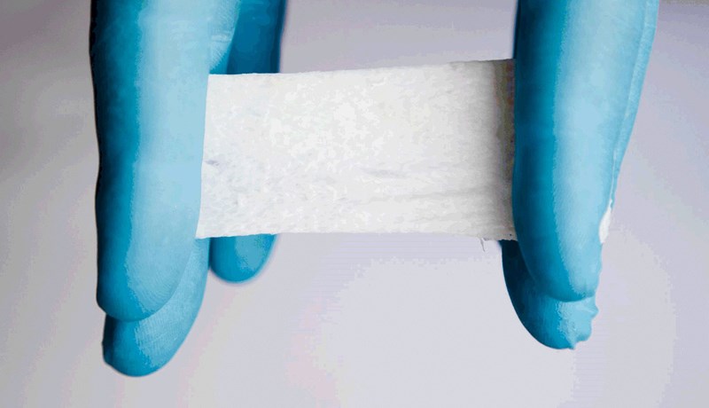 Bókvitið verður í askana látið!