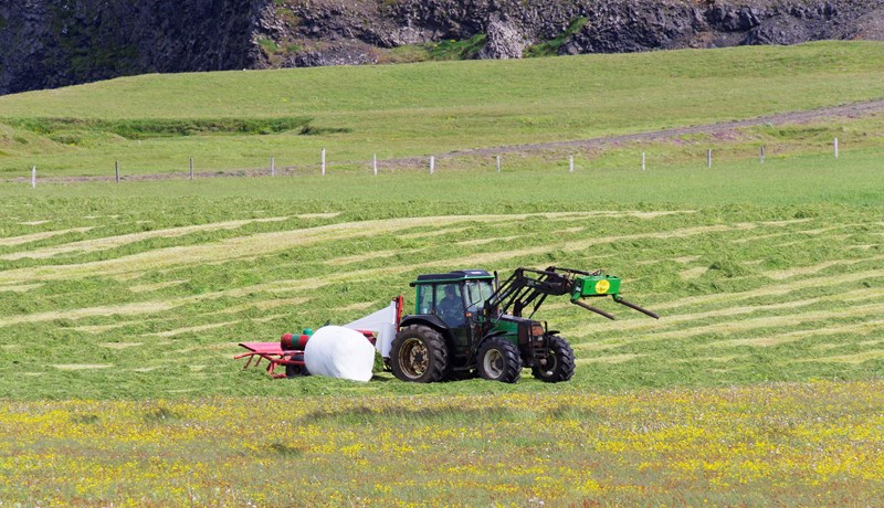 Búast við fyrsta skipi um mánaðamótin