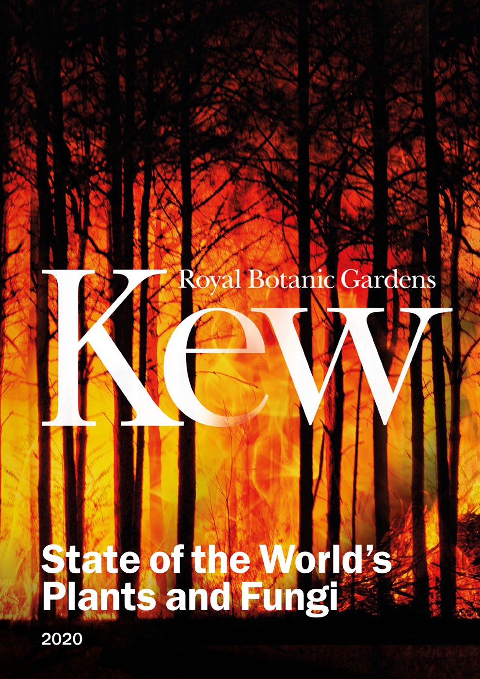 Ástand plantna og sveppa í heiminum