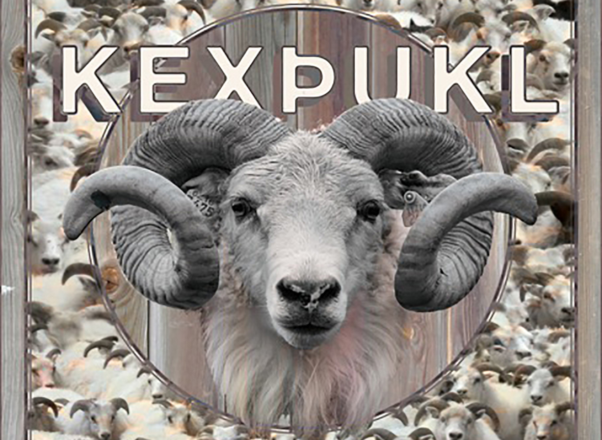 Bjóða vetur konung velkominn með hrútaþukli í 101 Reykjavík