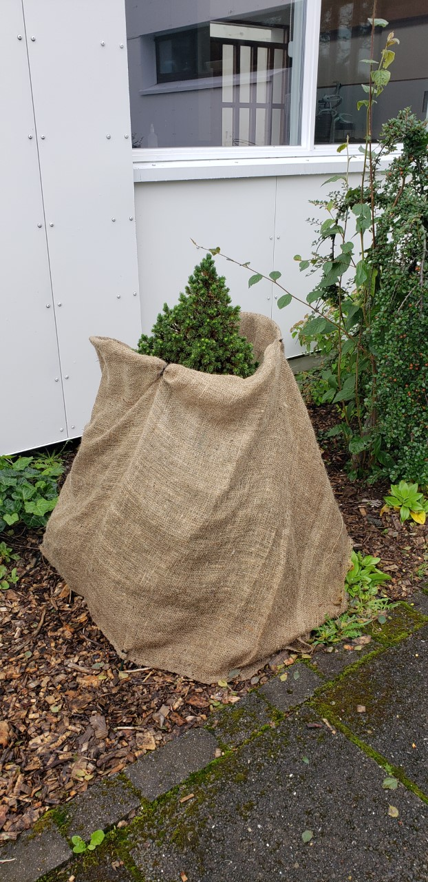 Undirbúum garðinn fyrir veturinn