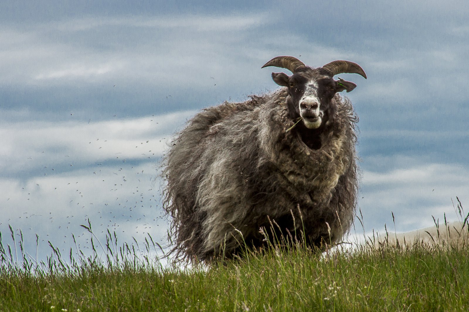Lífeyrir til veikra, slasaðra og aldraðra