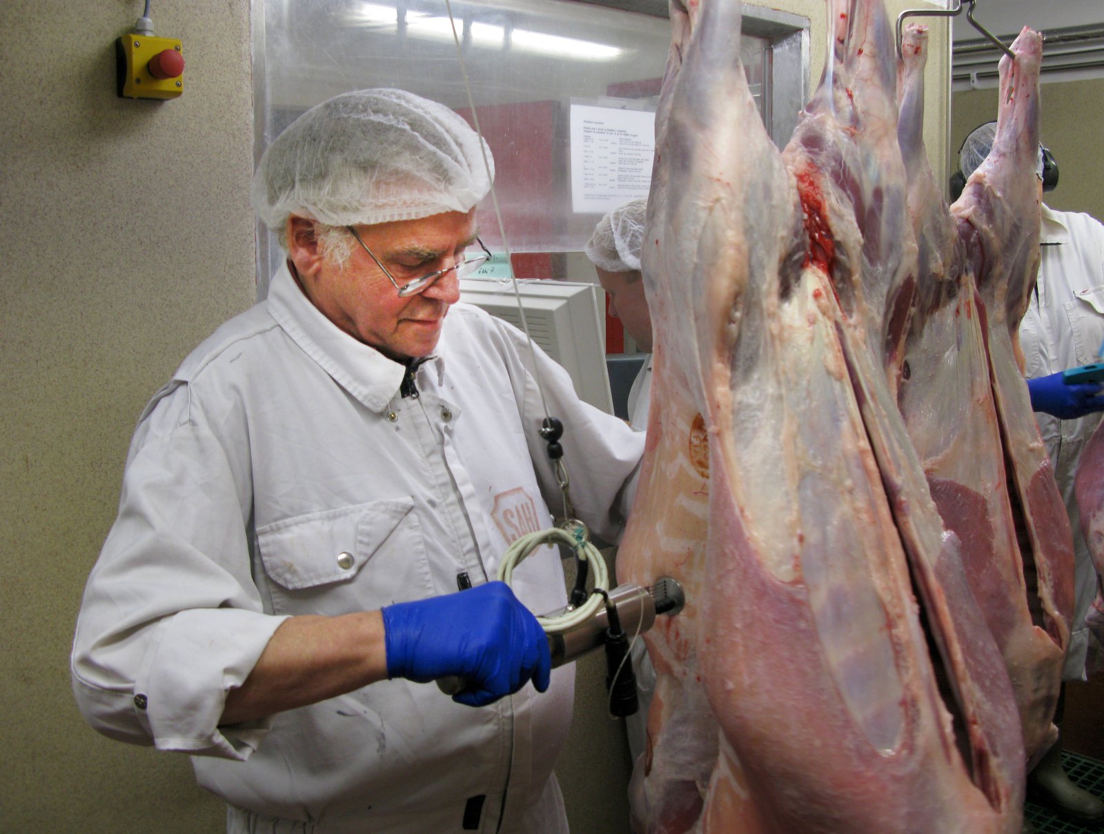 Enn er kindakjötið í efsta sæti í kjötframleiðslu landsmanna