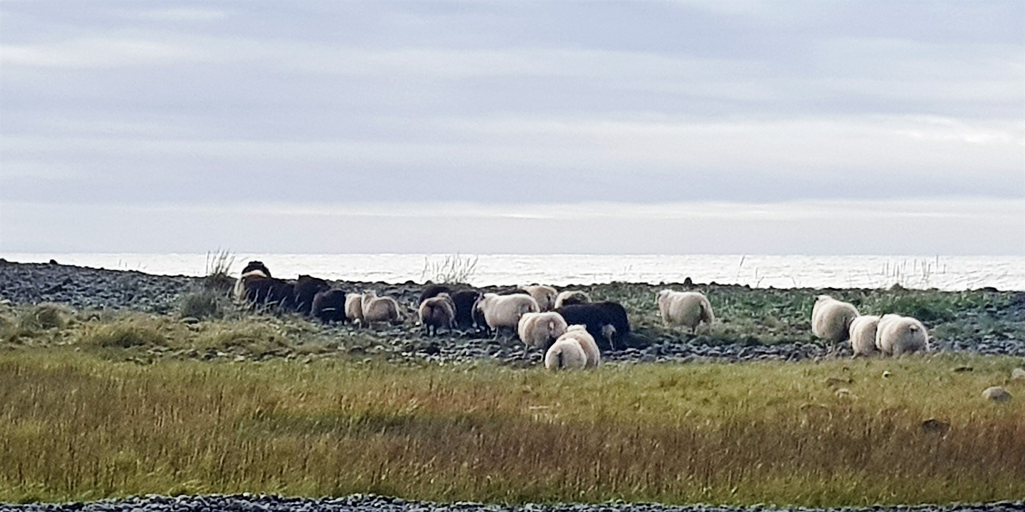 Vísindi eða hindurvitni?