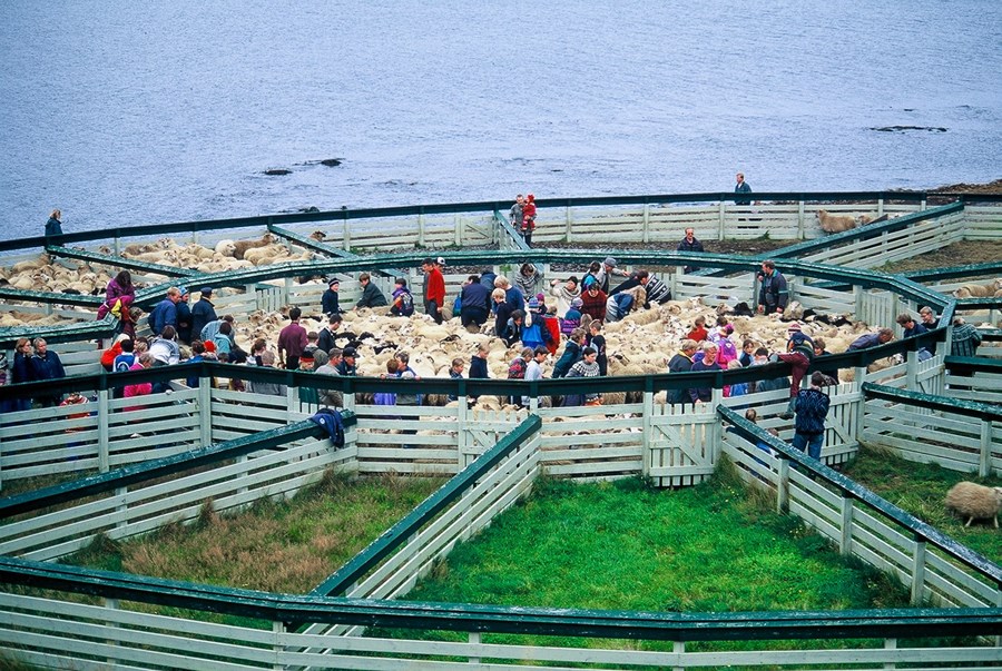 Mynd úr safni af Hamarsrétt á Vatnsnesi.