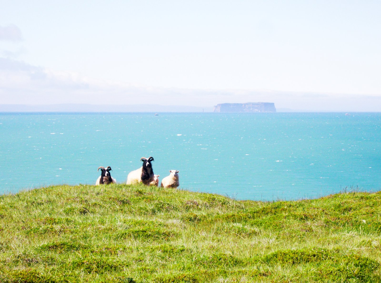 Það sem skiptir máli