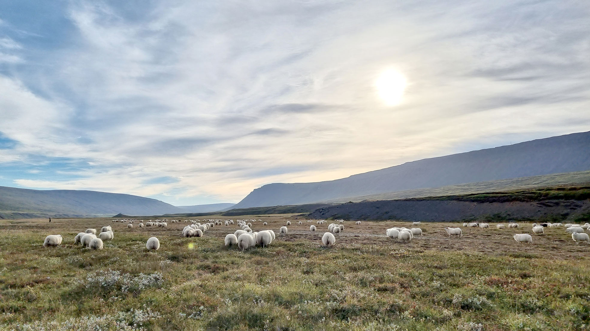 Engin vonaraugu mæna upp á mig í dag