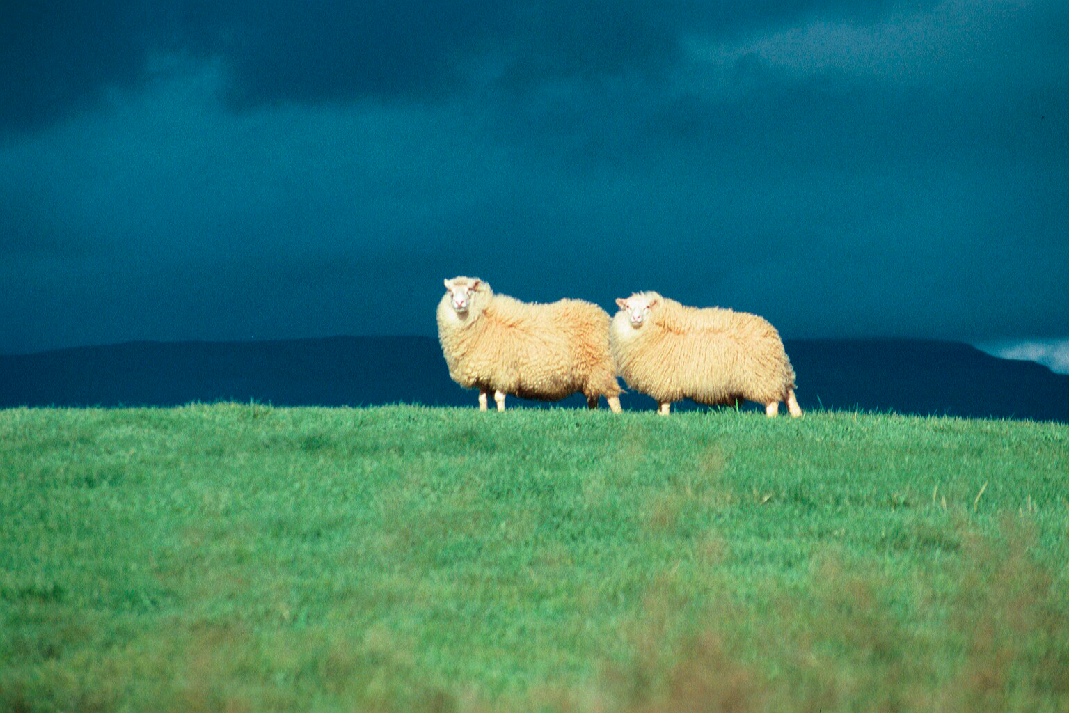 Landnýtingarkröfur enn þá án lagastoðar