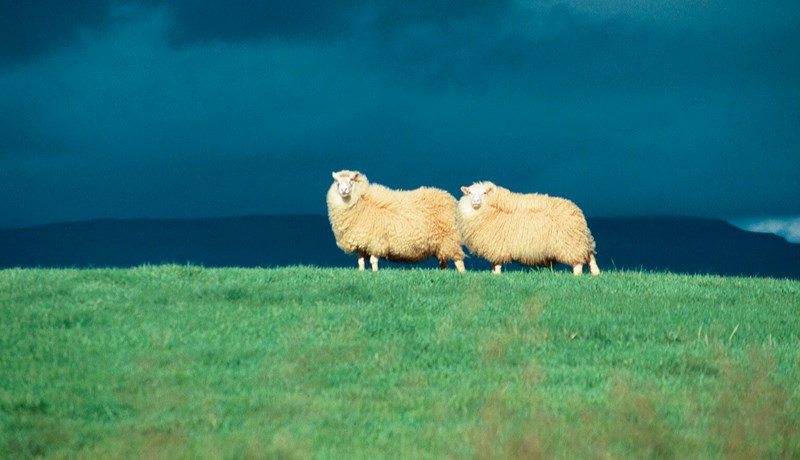 Landnýtingarkröfur enn þá án lagastoðar